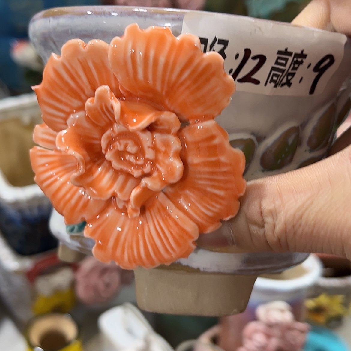 【闪购商品】红陶福利