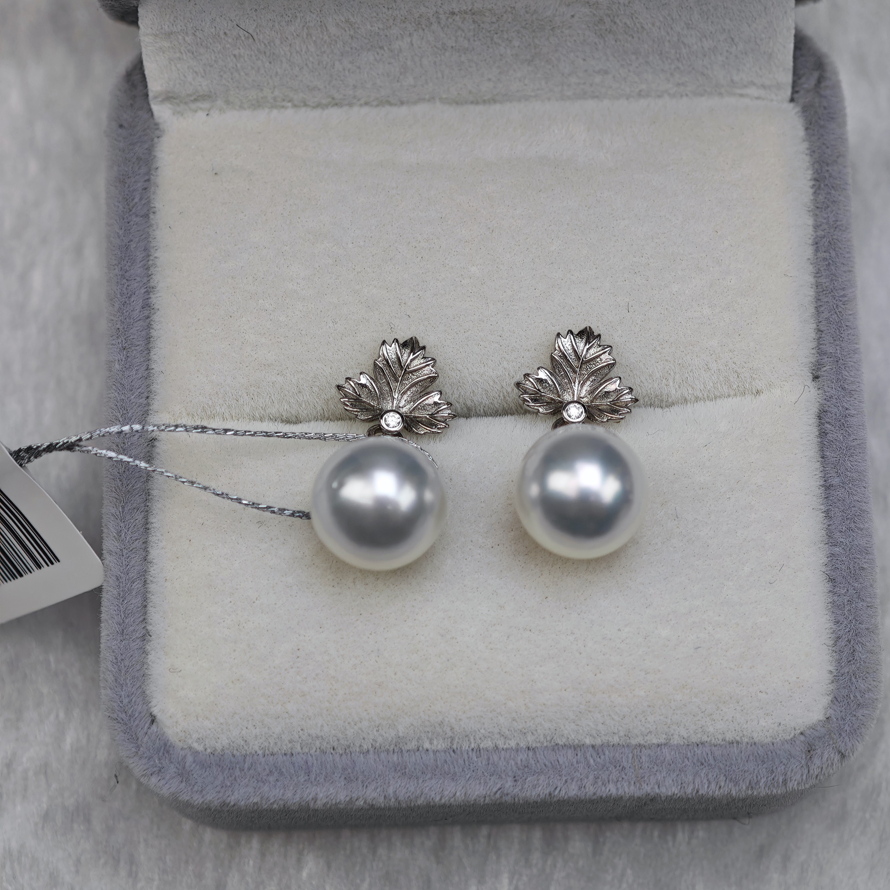 9.5mm近圆海水澳白枫叶款耳坠冷白光灵动送妈妈百搭时尚新春礼物