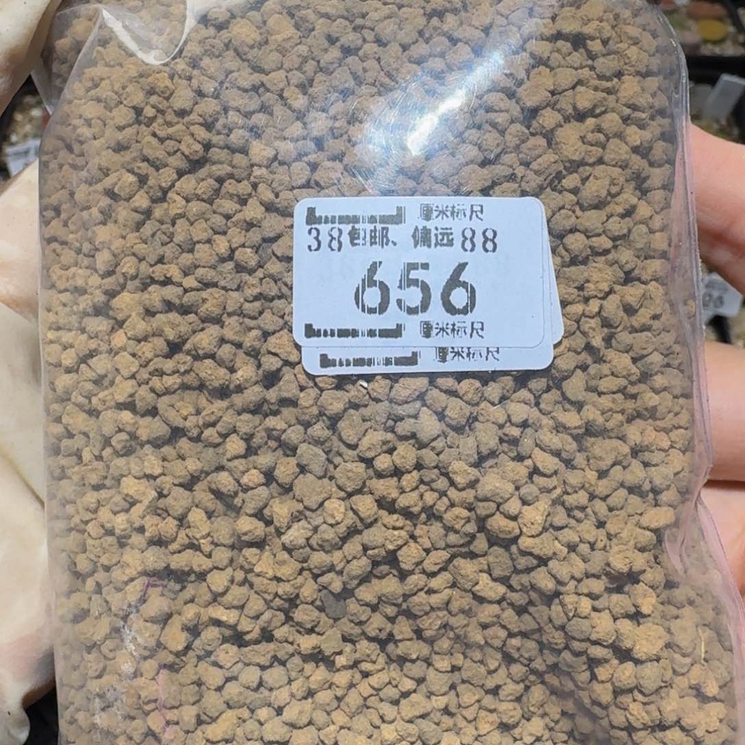 Sssss精品生石花656