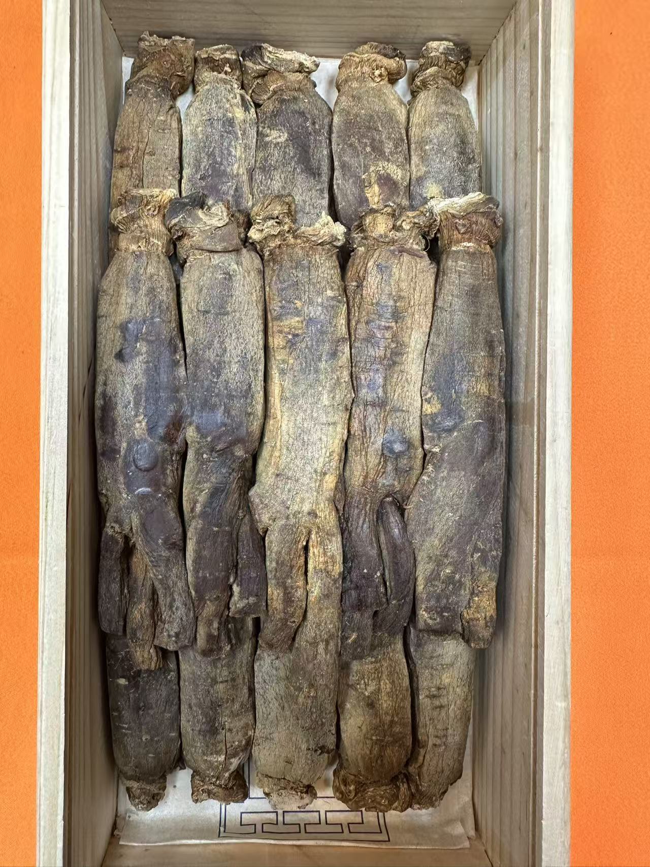 高丽参黄马褂天15枝19条600g