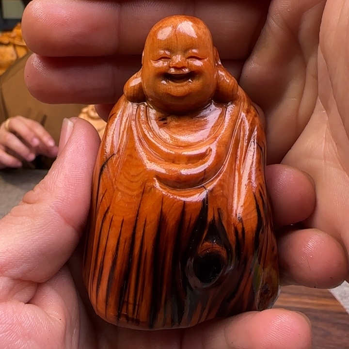 柏木（崖柏）关注一下