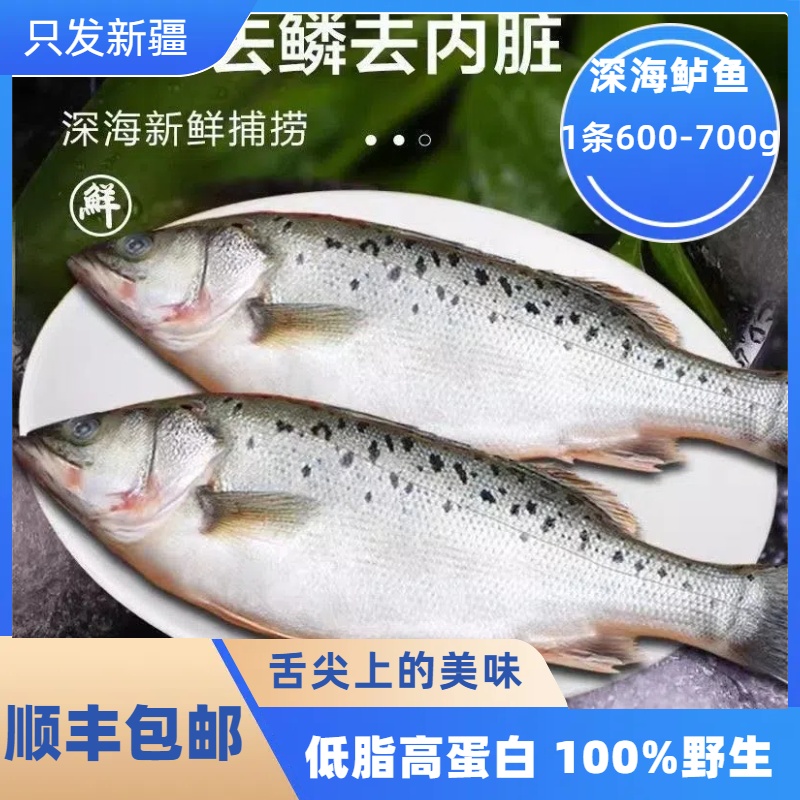 【新疆顺丰包邮】新鲜鲈鱼冷冻去鳃去鳞去内脏清蒸海鱼600-700g一条