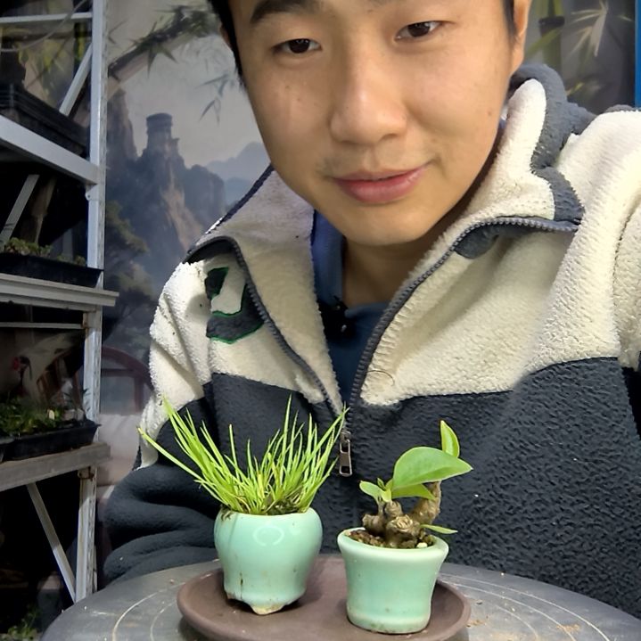 紫*-中青园艺一物一拍花200