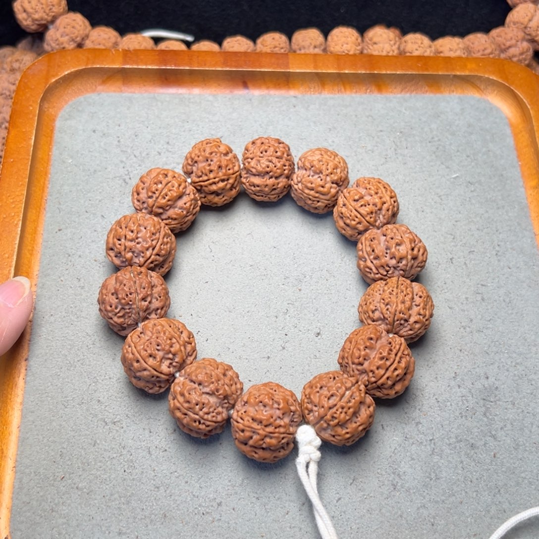 菩提9号金刚菩提安娜蜂窝23超头