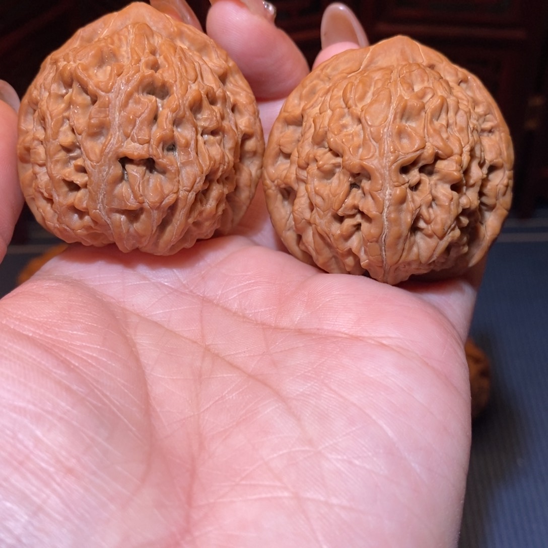 45水龙纹精配货头饱满