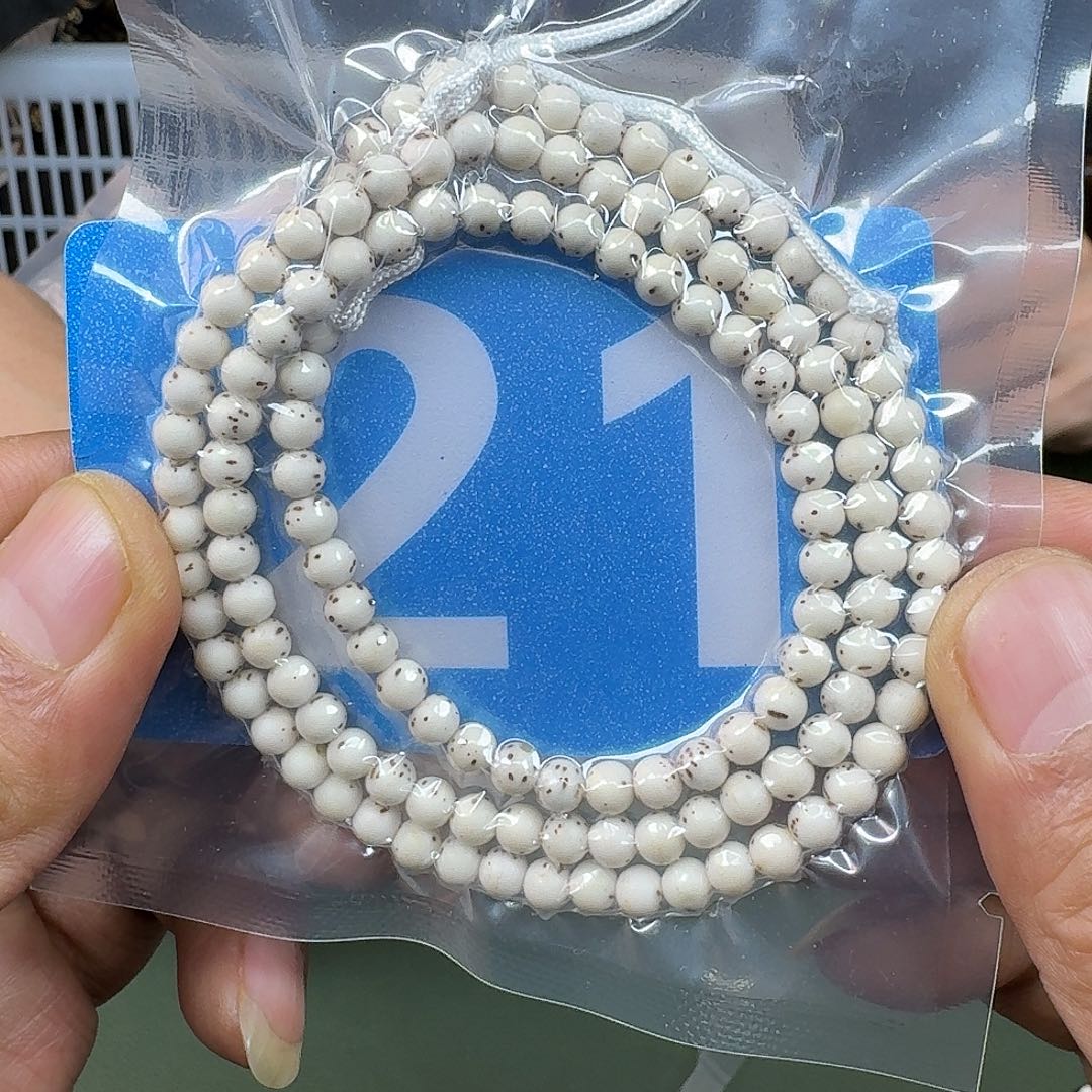 吊坠星月菩提5高货背月。21