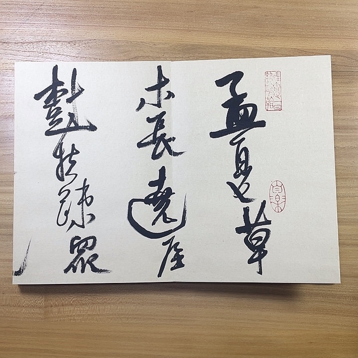 书法中书协会员作品