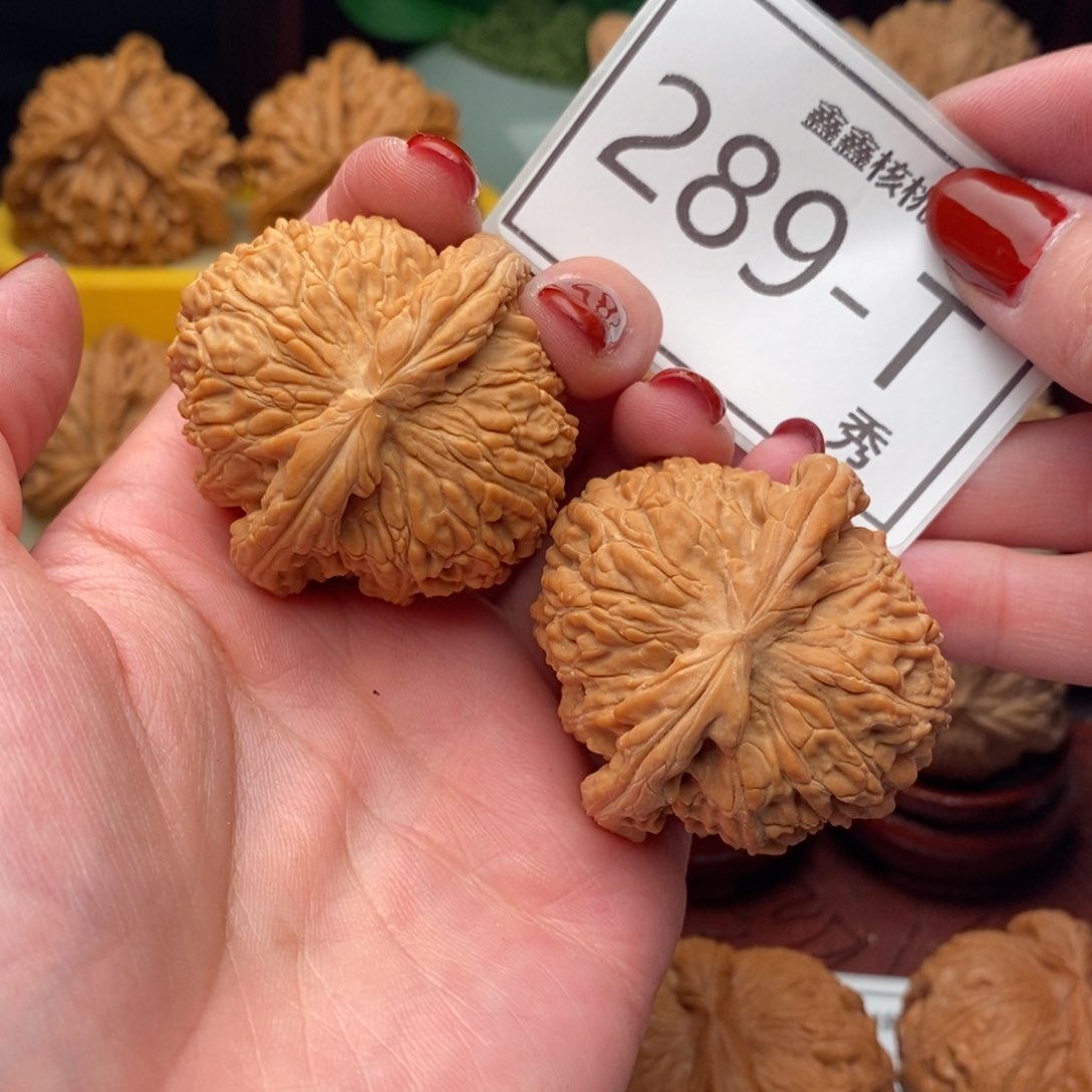 文玩核桃把件白狮43