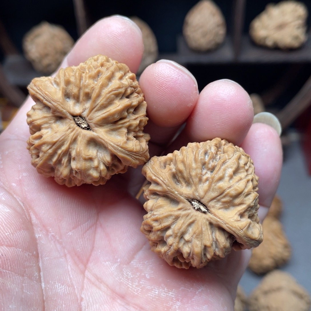 桃核把件37全品涿鹿南疆