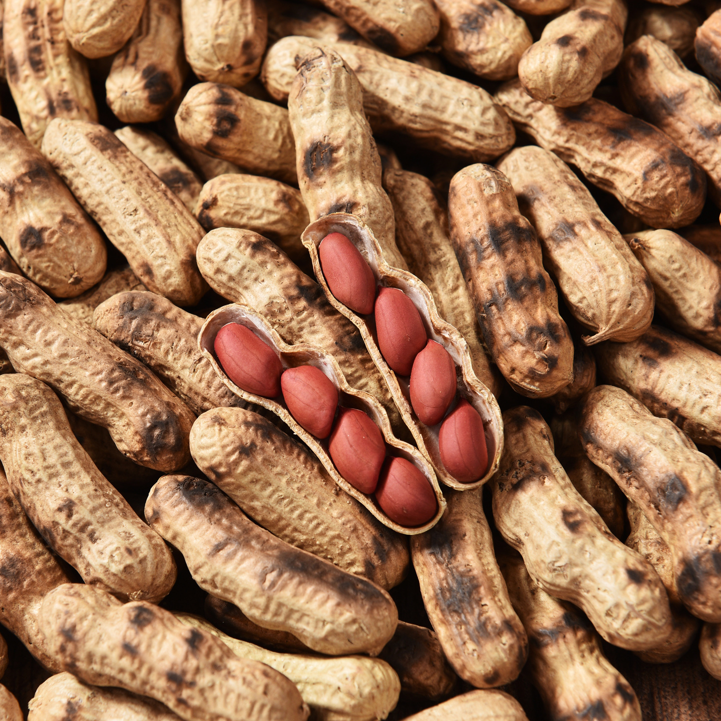 四粒红熟花生花生红皮带壳花生炒花生炒熟红皮花生原味柴火炒大袋