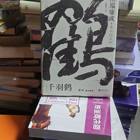 千羽鹤精装库存书库存书