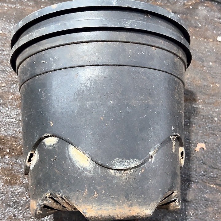 塑料口径22.5高度19黑花边加仑一组5个