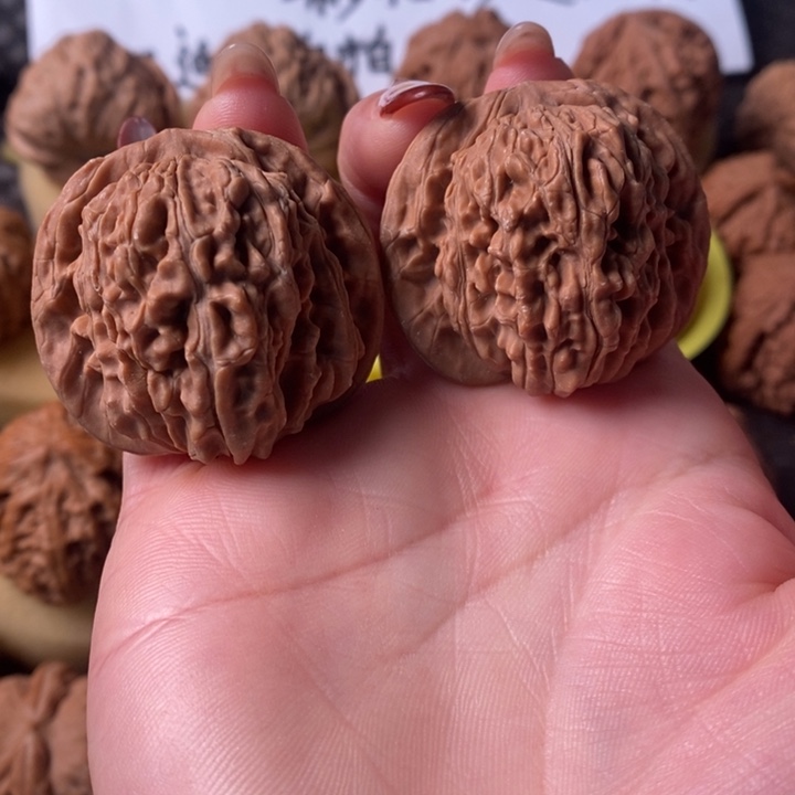 42全品四座楼无修无修无修