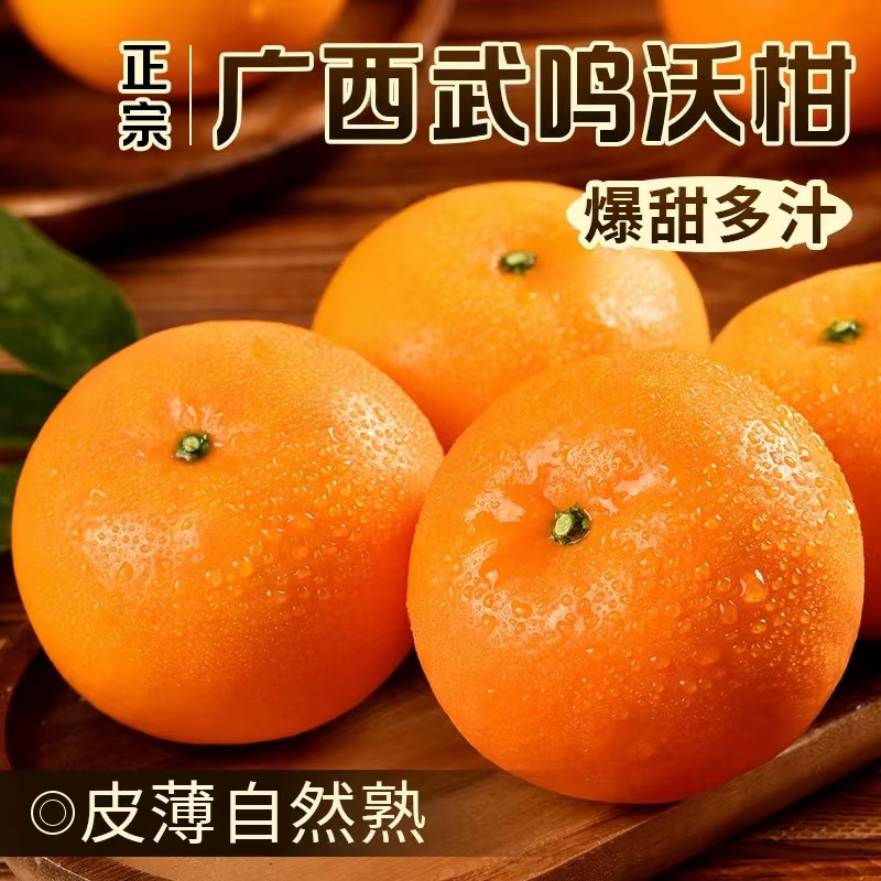 【果园直发】正宗广西武鸣沃柑新鲜水果头茬现摘橘子爆甜皮薄多汁G1