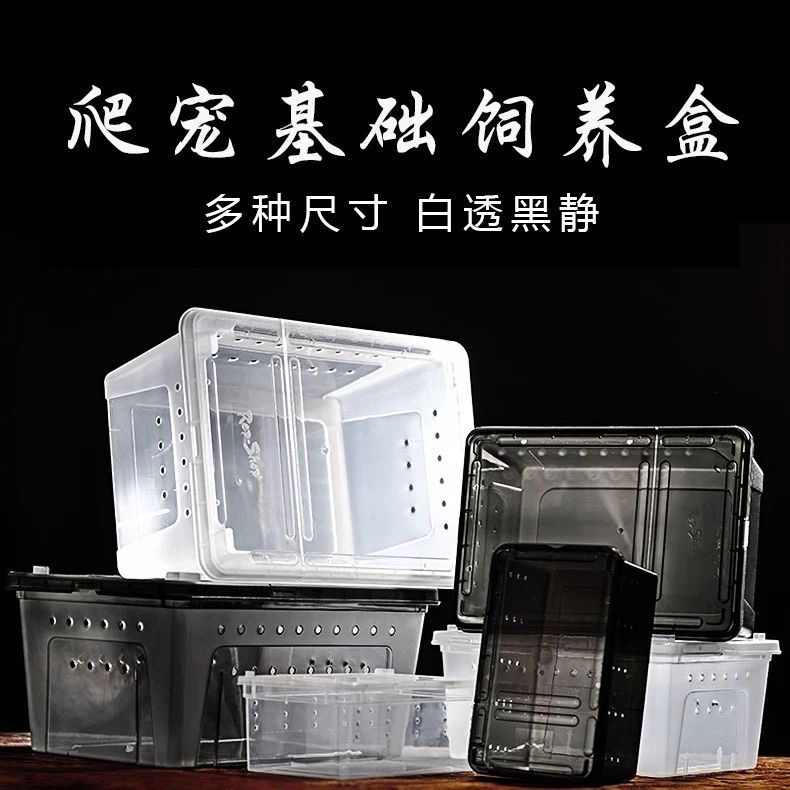 爬虫饲养盒蜥蜴肥尾睫角蜘蛛角蛙豹纹守宫盒爬宠用品蛇昆虫养殖盒