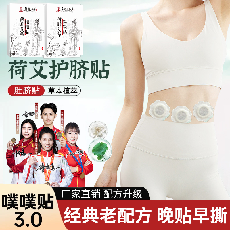 真材实料【南怀瑾配方升级】荷叶艾草噗噗贴陈艾艾绒草本家用肚脐贴