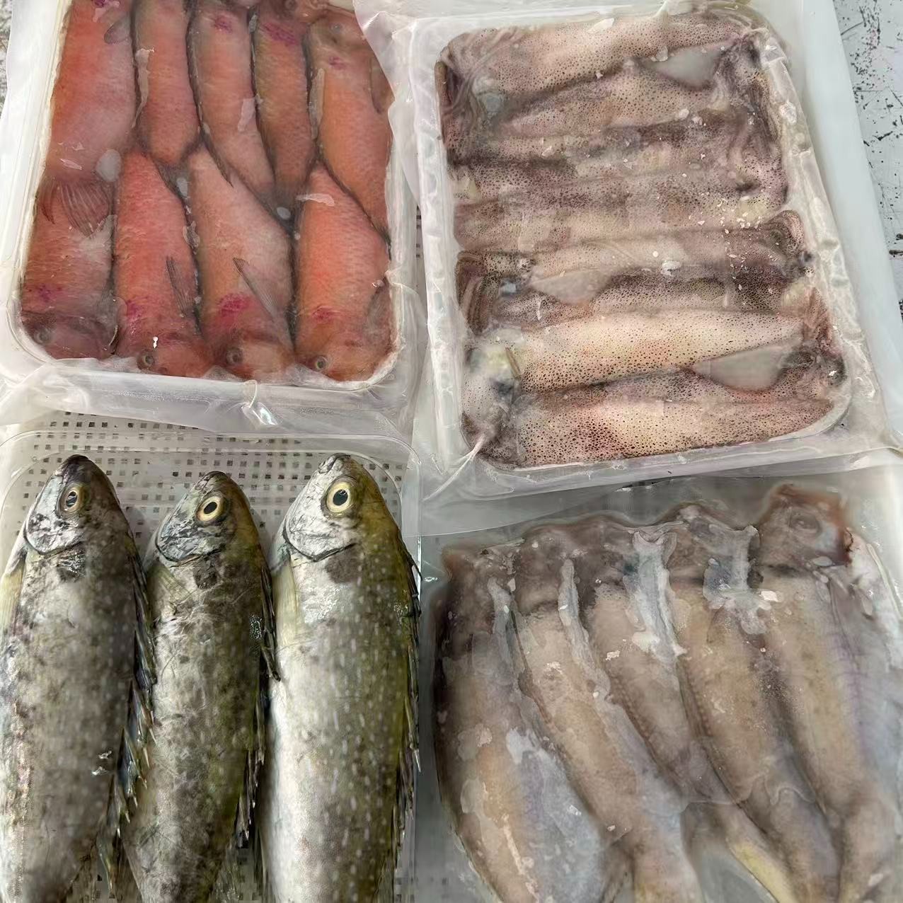 《二档专属》谢记海产品鱼类套餐1号