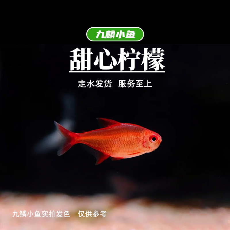 【甜心柠檬】    满三单顺丰包邮