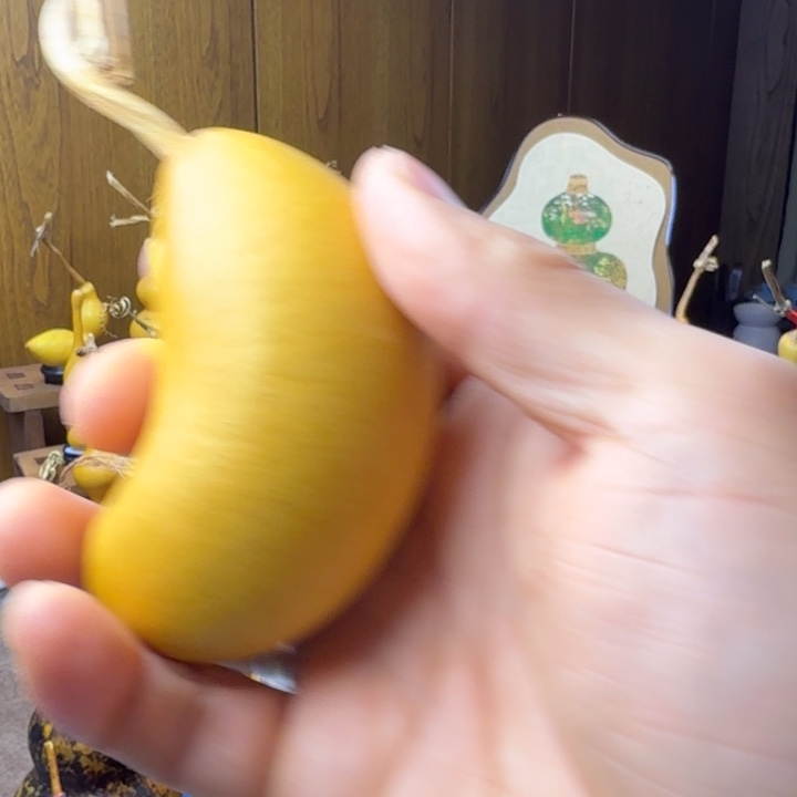 冬***天大叶紫檀（黑酸枝木类）