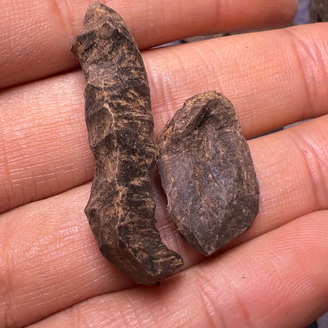 沉香沉香碎屑沉水1克