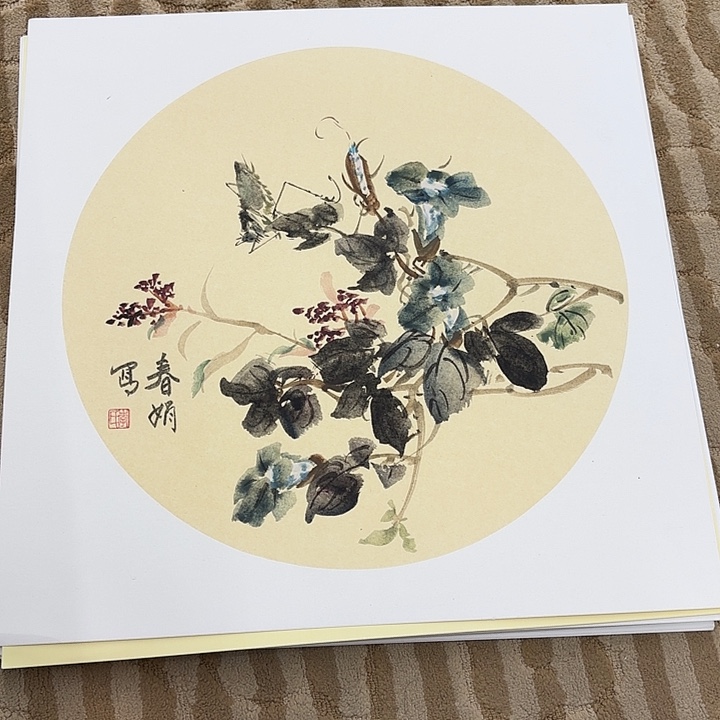 国画花鸟的翅膀是一个巨大的蝴蝶