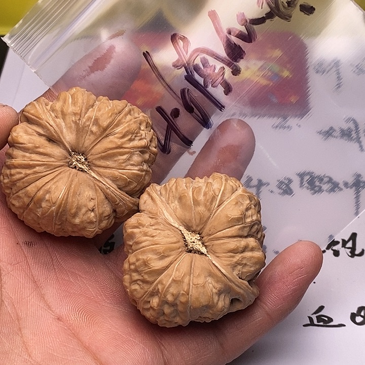 【闪购商品】文玩核桃把件南瓜