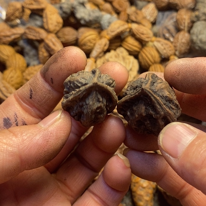 吊坠文玩核桃东北特产104