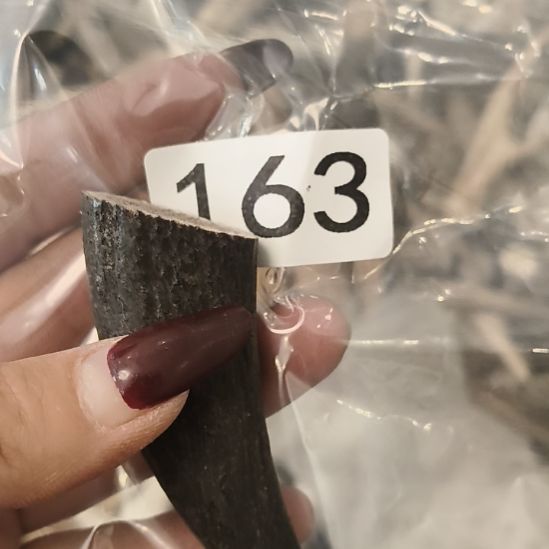 开****鹿角鹿角鹿角鹿角鹿角