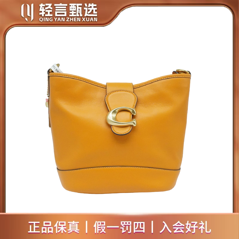 95新 COACH/蔻驰 单肩包/E505866/22*21