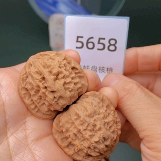 把件文玩核桃36三角白5658