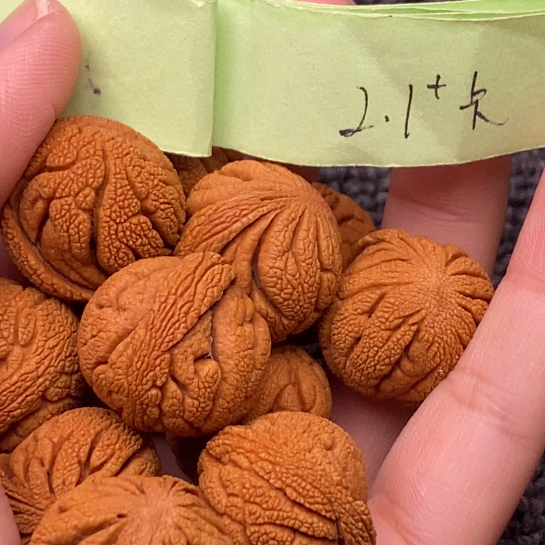 秦岭山脉龙纹桃核 13