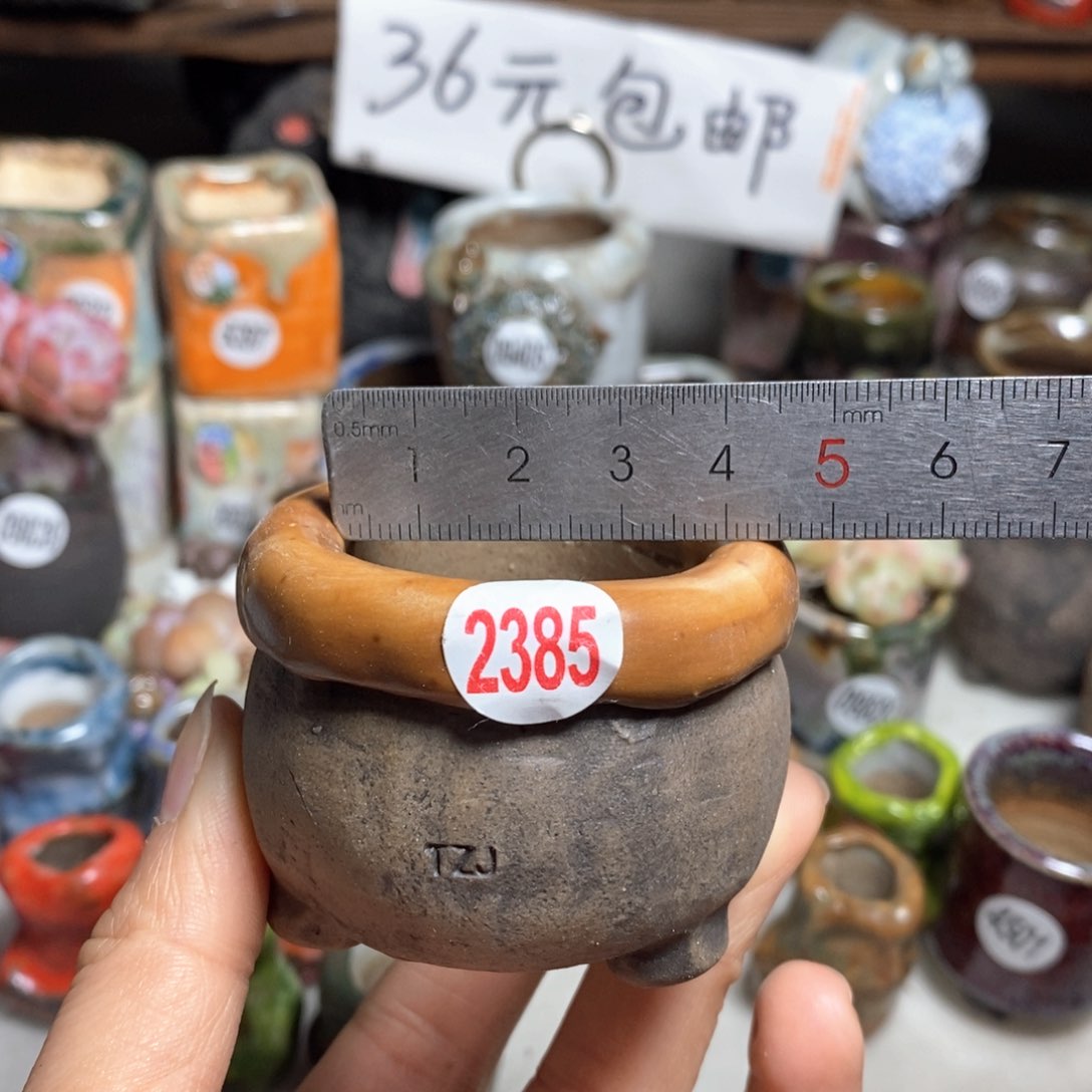 特价花盆处理，不退不换，原28元