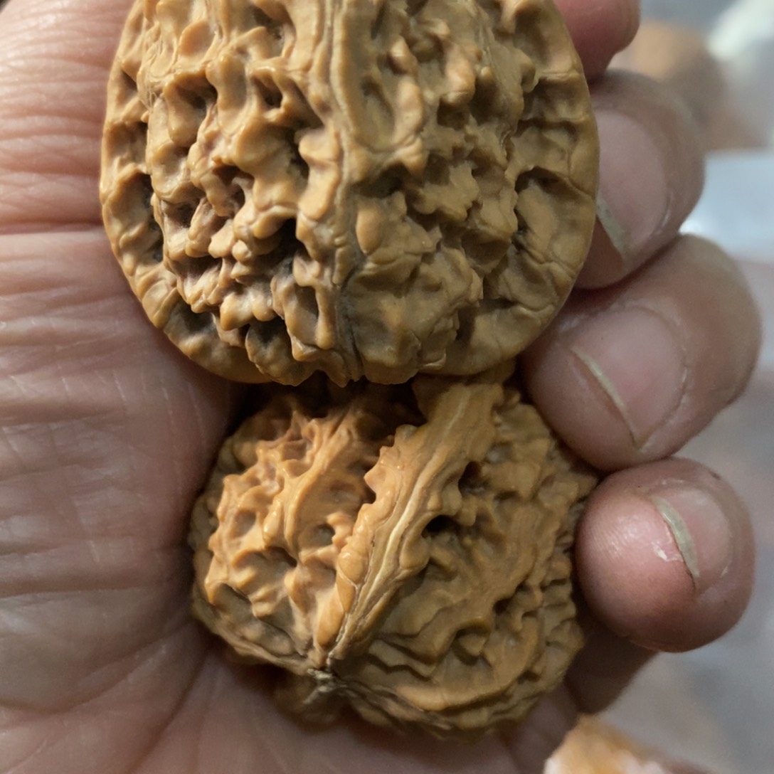 秦岭山脉东段西南约