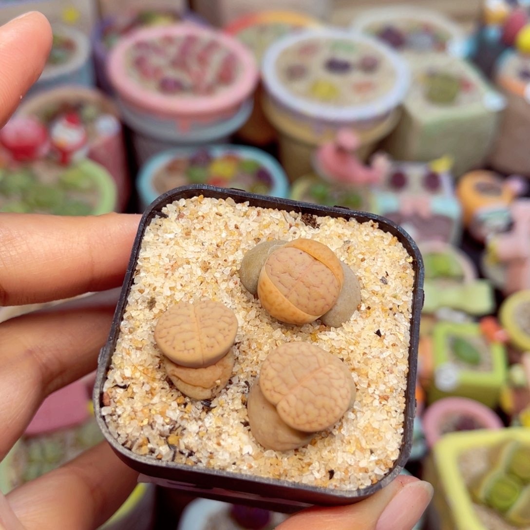 384。57885686687775887