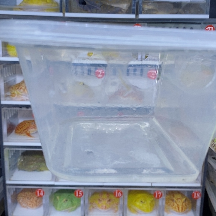 特价秒杀现货特价