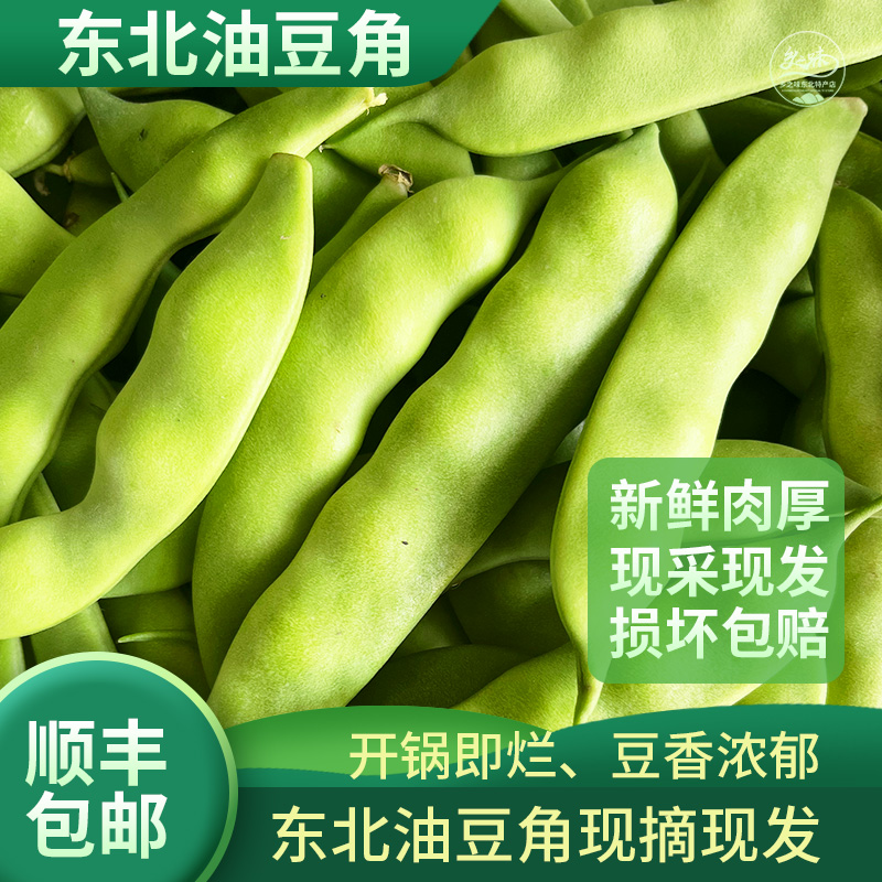 【新鲜油豆角】东北特产九月青豆角油豆角新鲜豆角开锅烂2斤5斤顺丰