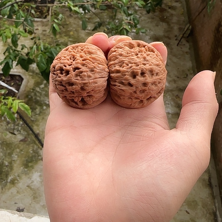 登***邓把件文玩核桃大团圆