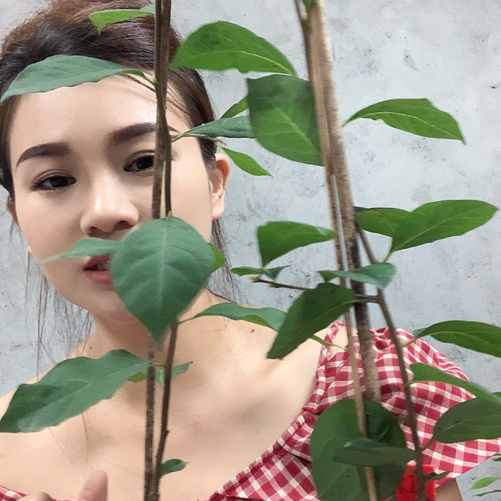 无花朵红灯➕秋凉49