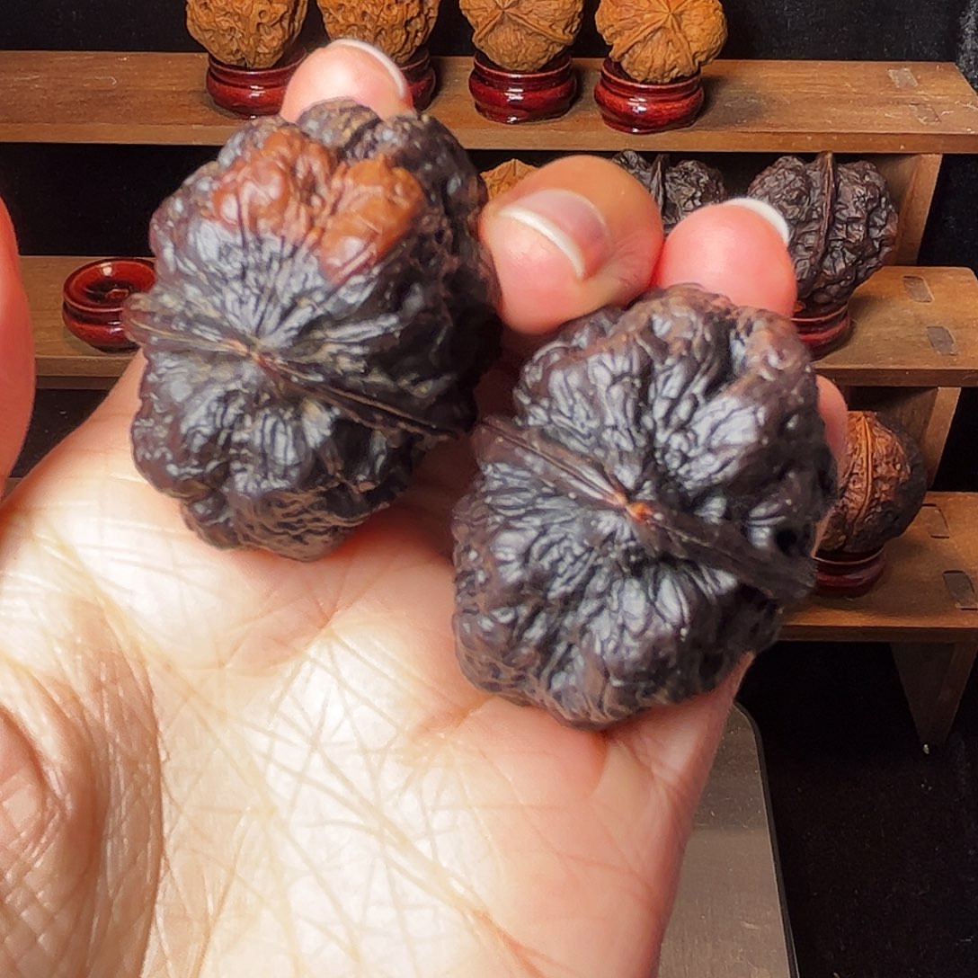 九五玄包      44