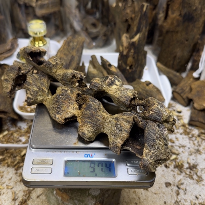 老***志沉香红骨凹身虫漏香97克