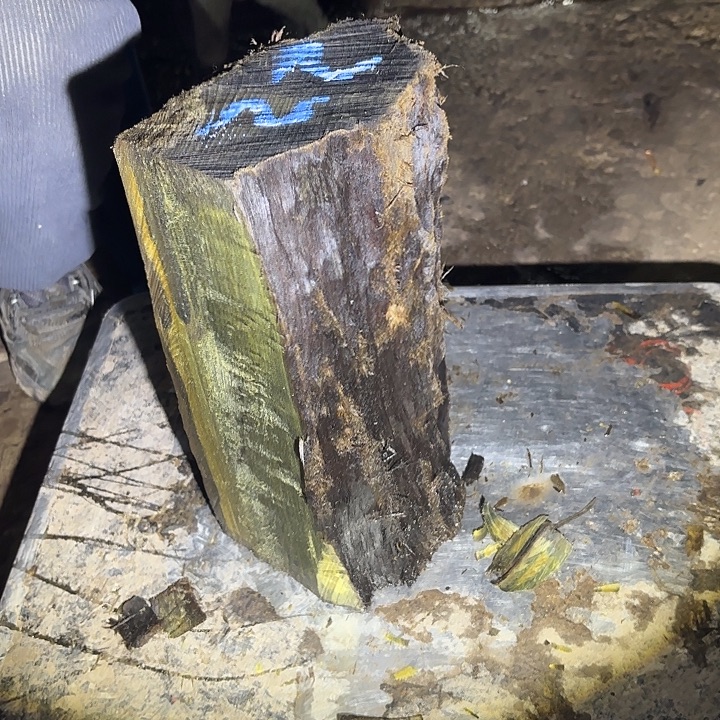 木***云金丝楠啊啊啊啊啊啊啊啊啊