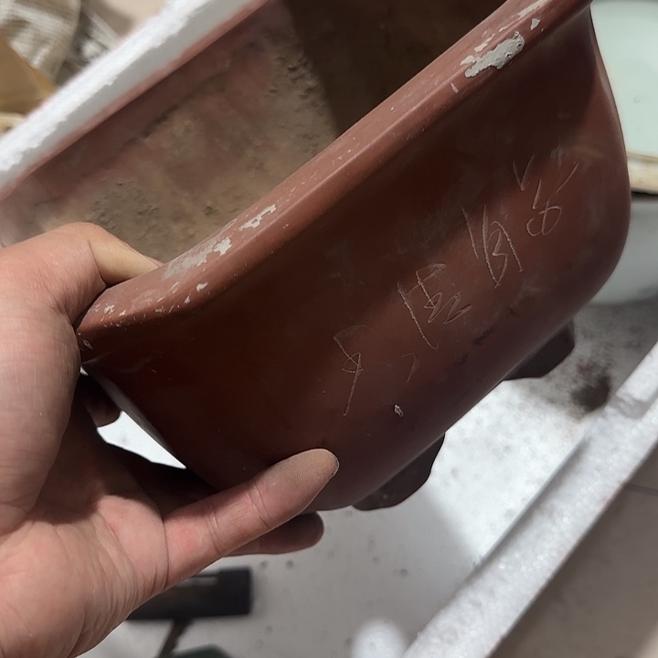 橄榄核其他顺**然Gfgfgfgggggcvvvv