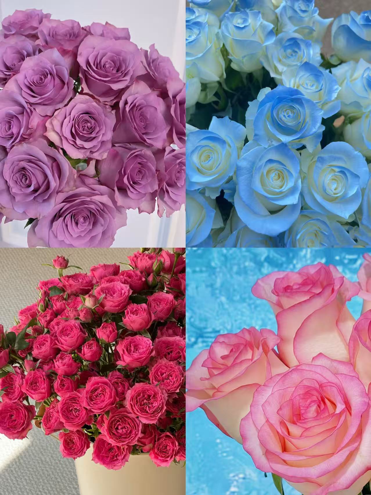 【鲜花7件套】云南基地直发家用客厅餐桌插花水养云南直发鲜花