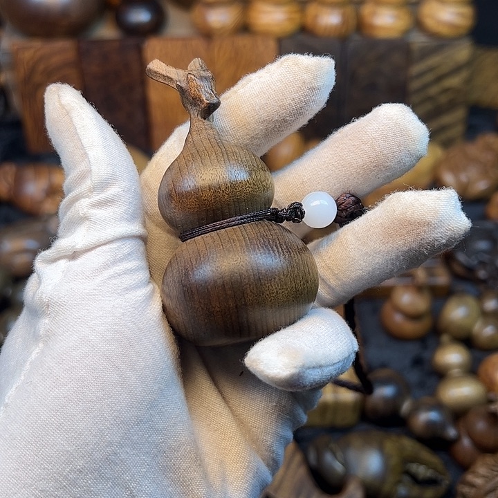 楠木金丝楠木小叶