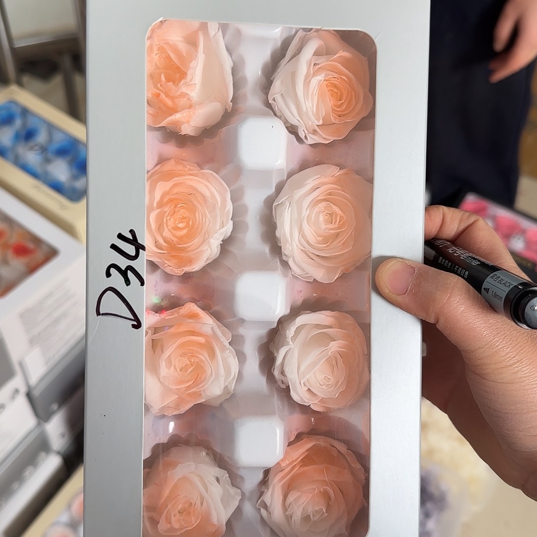 D34号双色橘玫瑰8朵