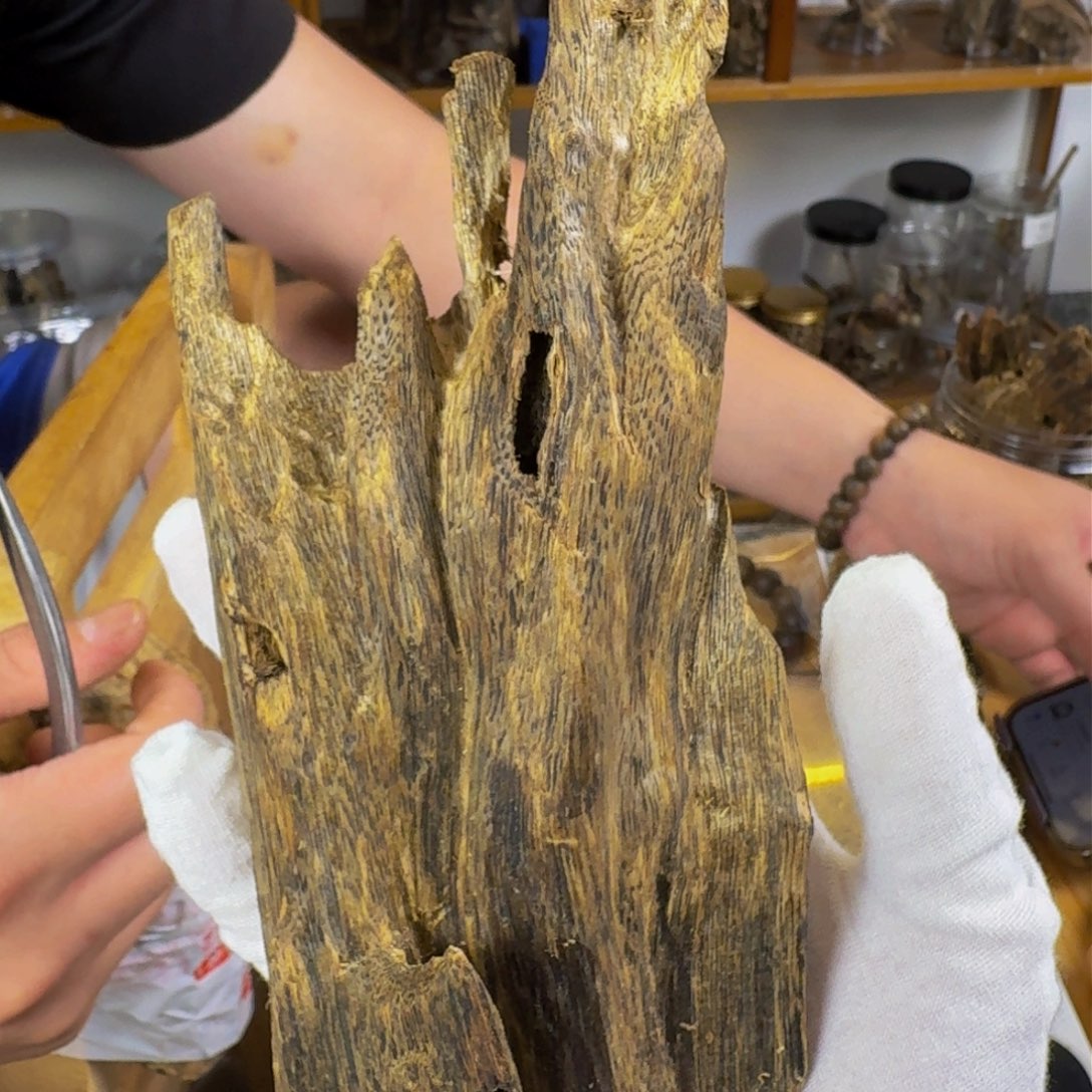 沉香沉香碎屑流油王虫漏香116克