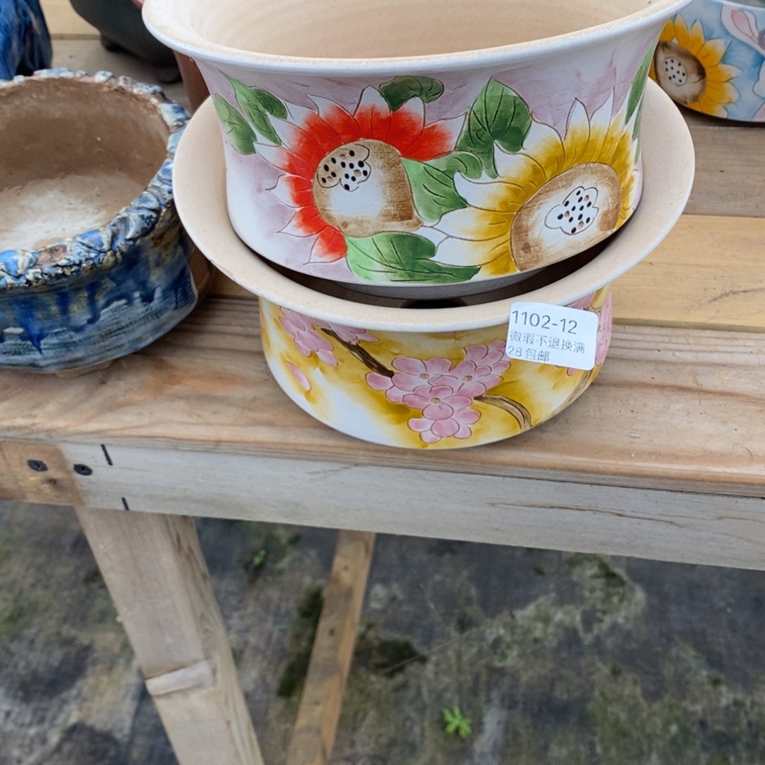 山***茶12号多肉盆两个组合