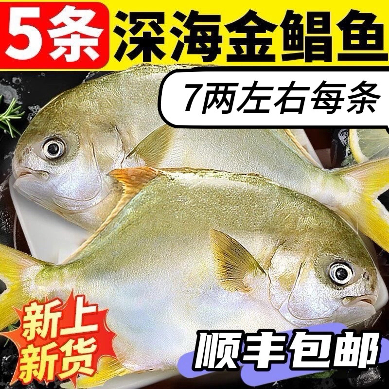 中号金鲳鱼5条 每条7两左右 顺丰冷链包邮