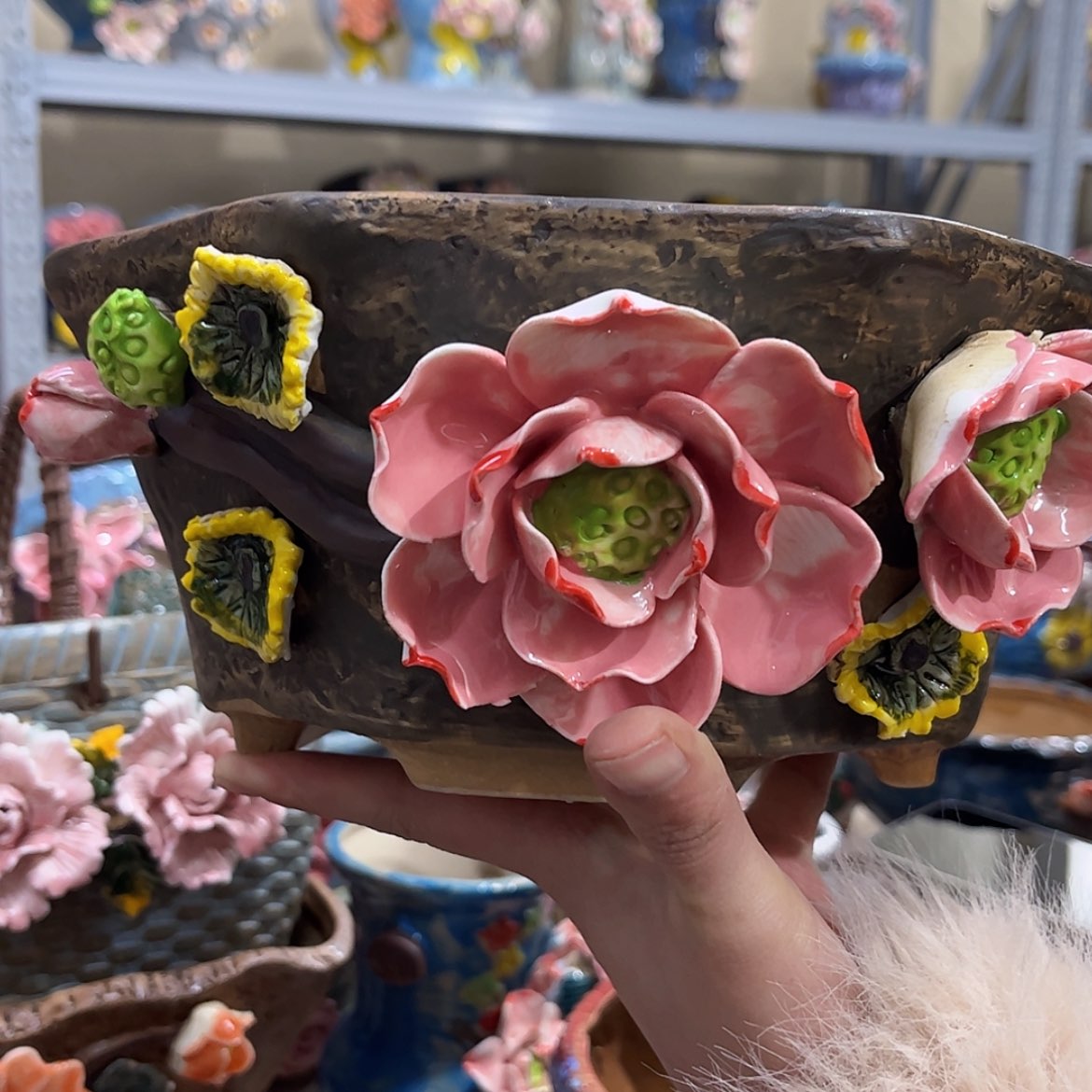 【闪购商品】红陶福利