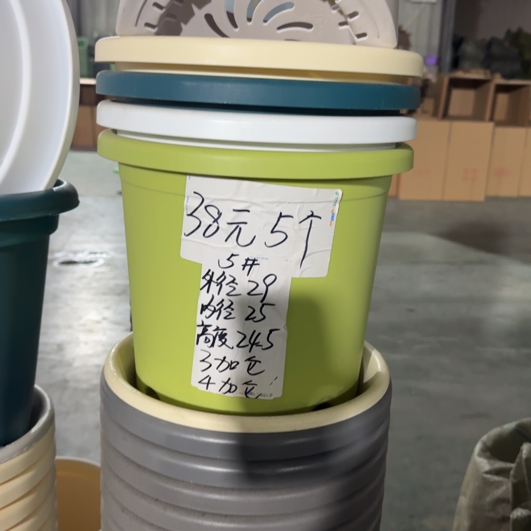 四季5#口径29无拖果绿5个